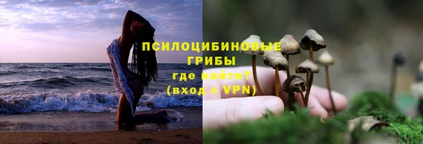 ГАЛЛЮЦИНОГЕННЫЕ ГРИБЫ Балахна