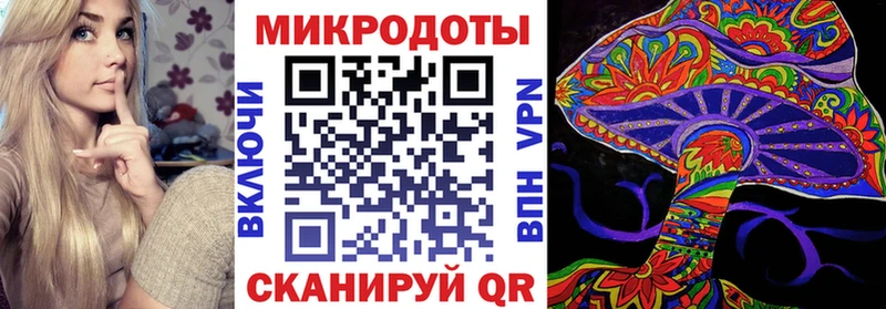 Галлюциногенные грибы Psilocybine cubensis  Кубинка 