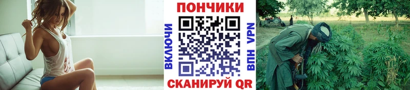хочу   KRAKEN ссылка  Шишки марихуана гибрид  Кубинка 